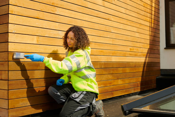 Best Siding Replacement  in Braselton, GA